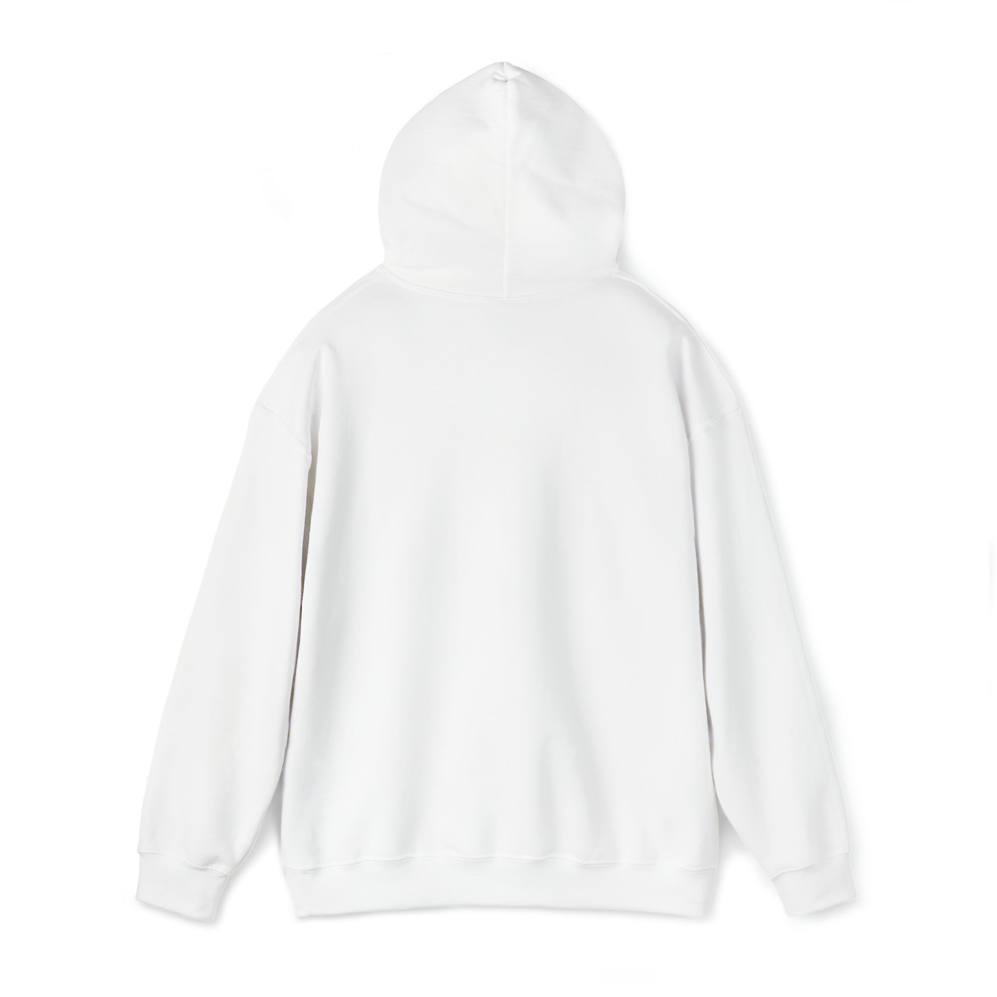 Sonhco 509 - Unisex Heavy Blend™ Hooded Sweatshirt
