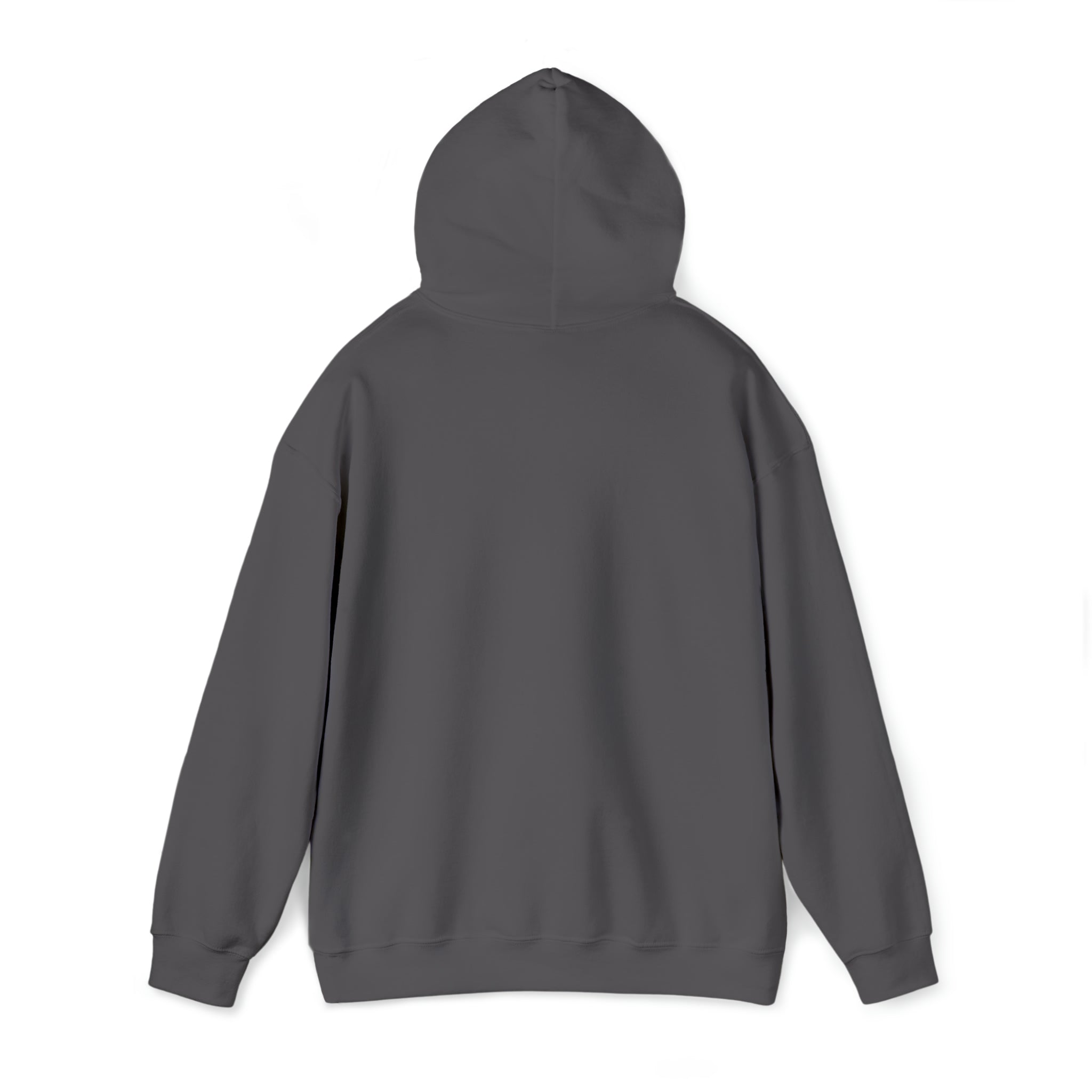 Sonhco 509 - Unisex Heavy Blend™ Hooded Sweatshirt