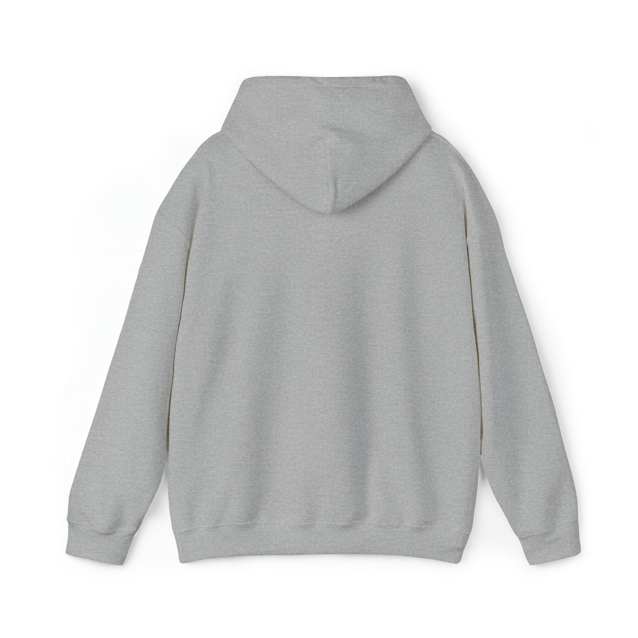 Sonhco 509 - Unisex Heavy Blend™ Hooded Sweatshirt