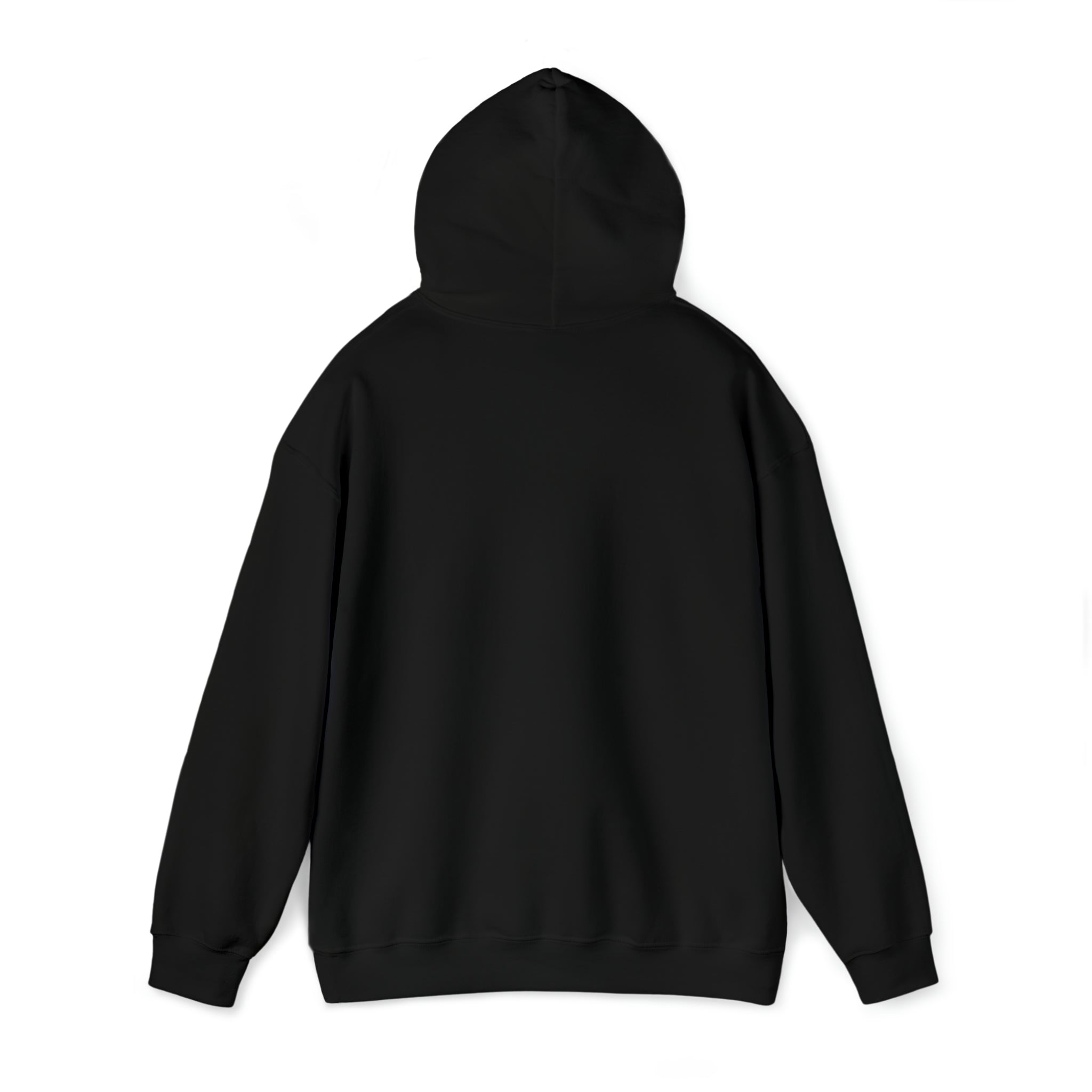 Sonhco 509 - Unisex Heavy Blend™ Hooded Sweatshirt