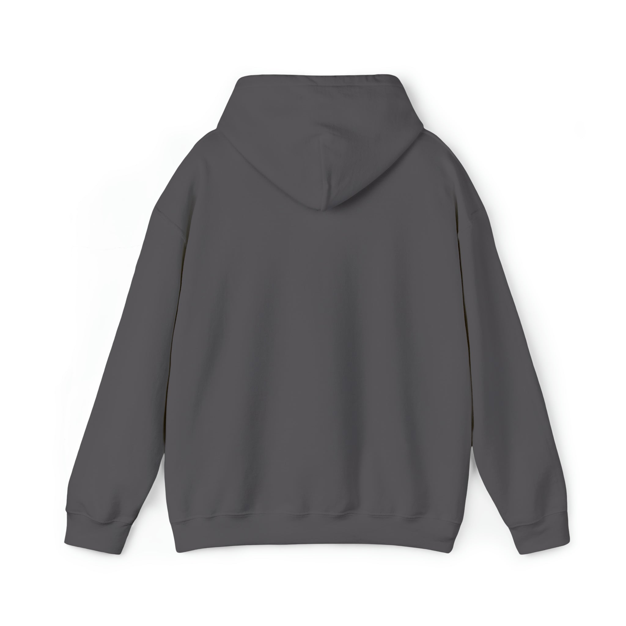 Sonhco 509 - Unisex Heavy Blend™ Hooded Sweatshirt