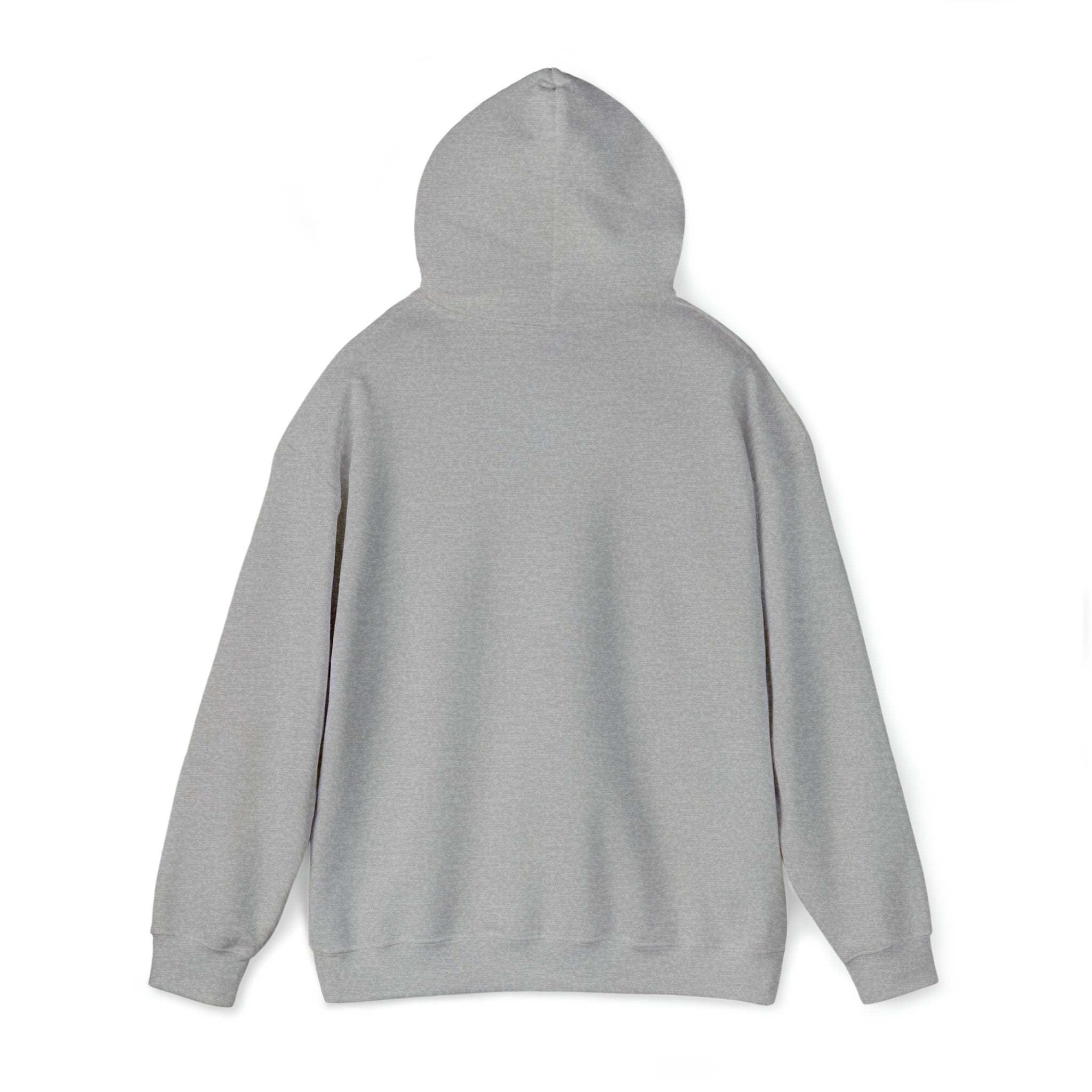 Sonhco 509 Hood - Unisex Heavy Blend™ Hooded Sweatshirt