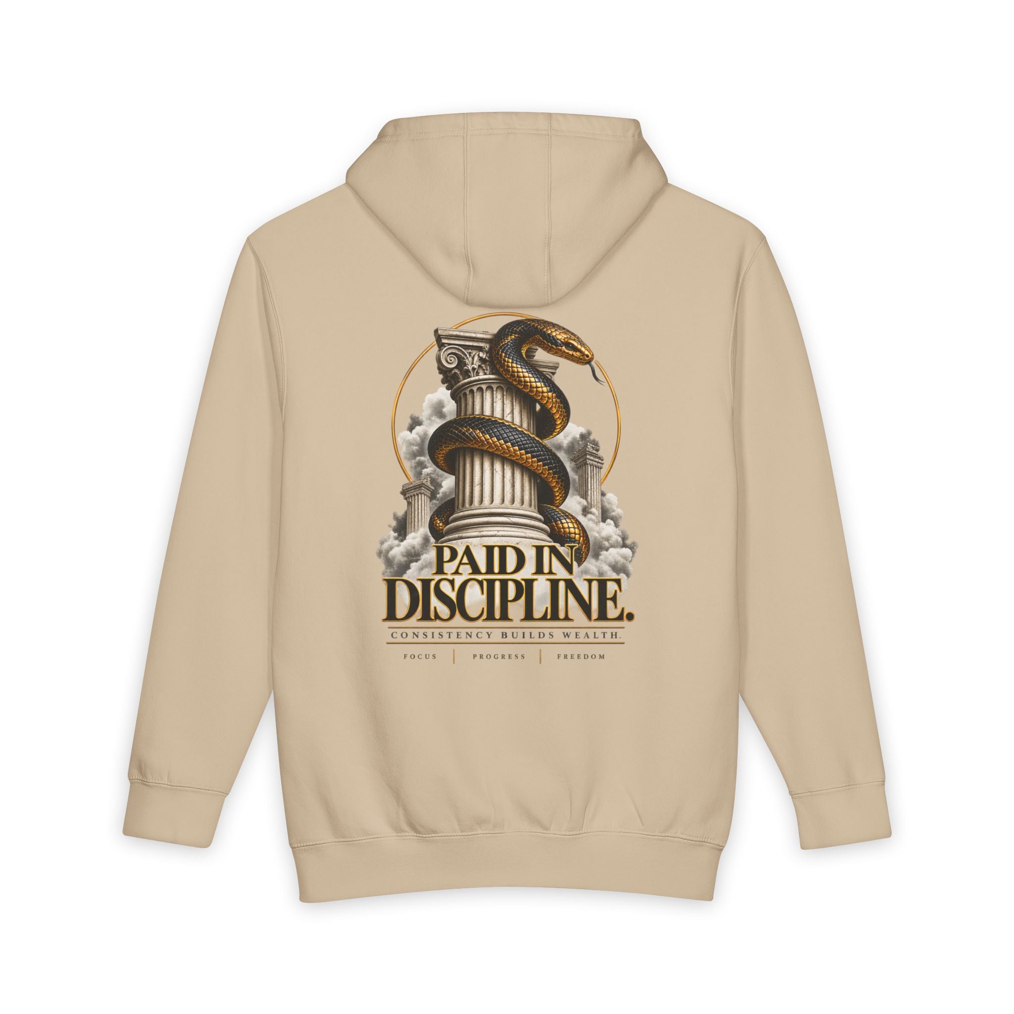 Paid in Discipline. Premium Heavyweight Hoodie