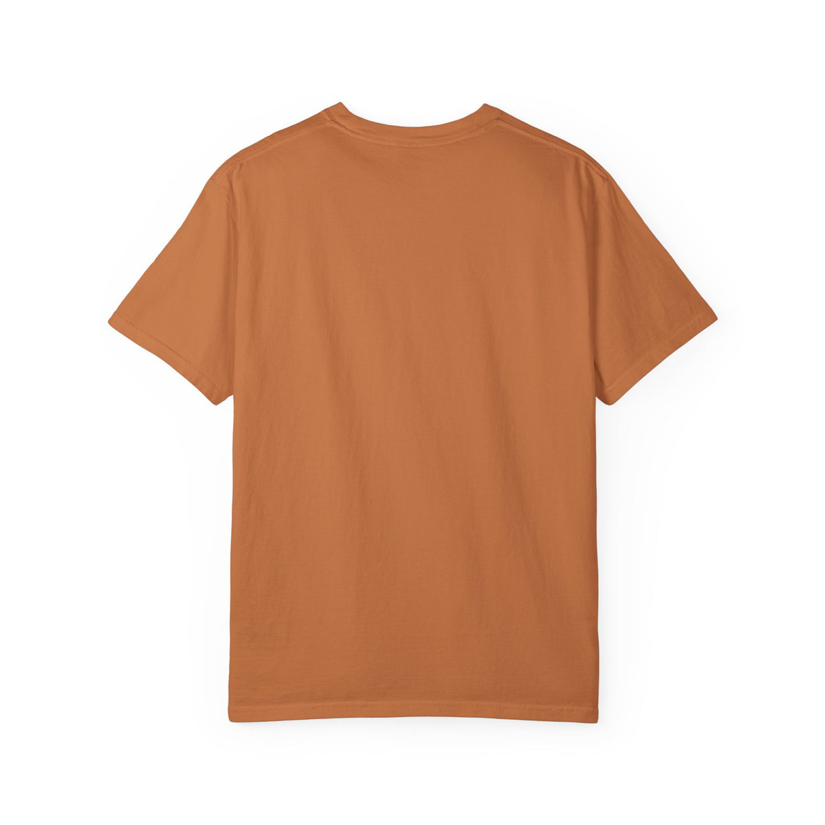 Digital Classics Retro Design Unisex Garment-Dyed T-Shirt